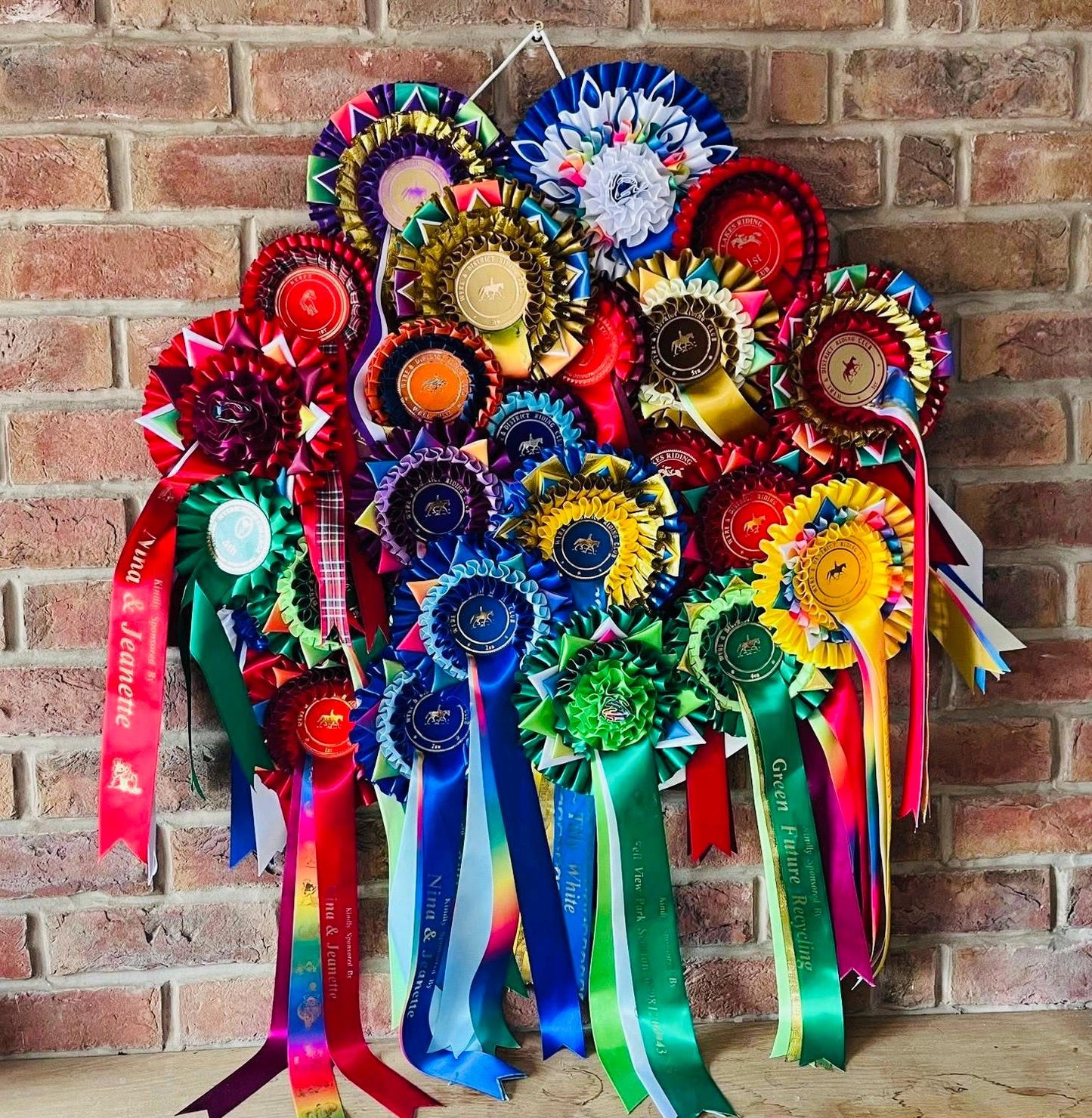 Rosette Display Acrylic Disc 60cm
