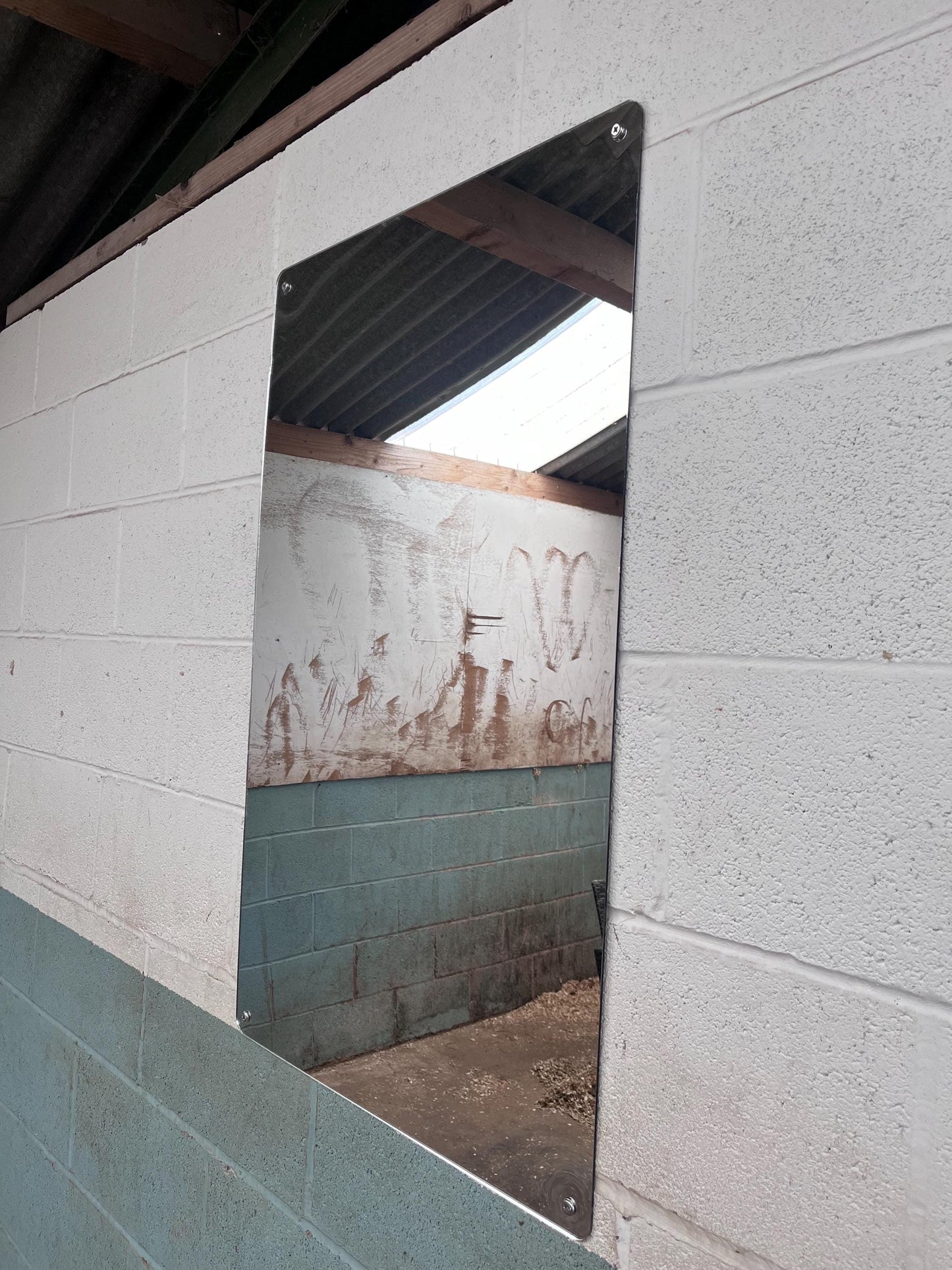 Horse Stable Mirror