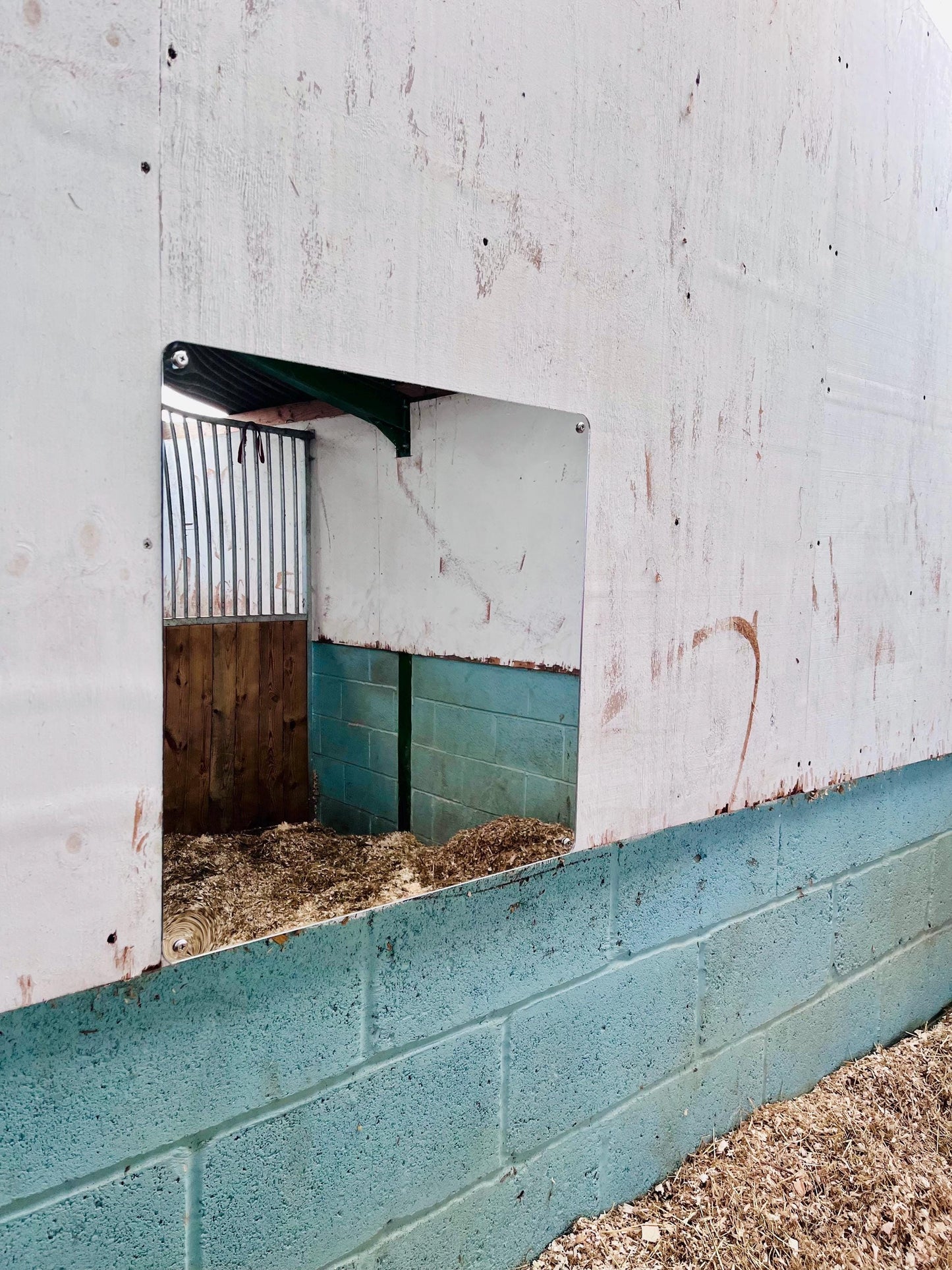 Horse Stable Mirror