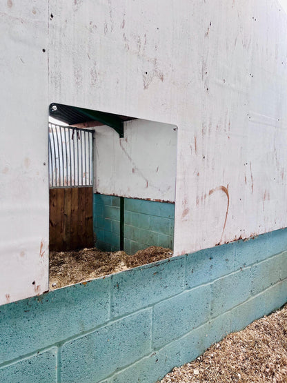 Horse Stable Mirror