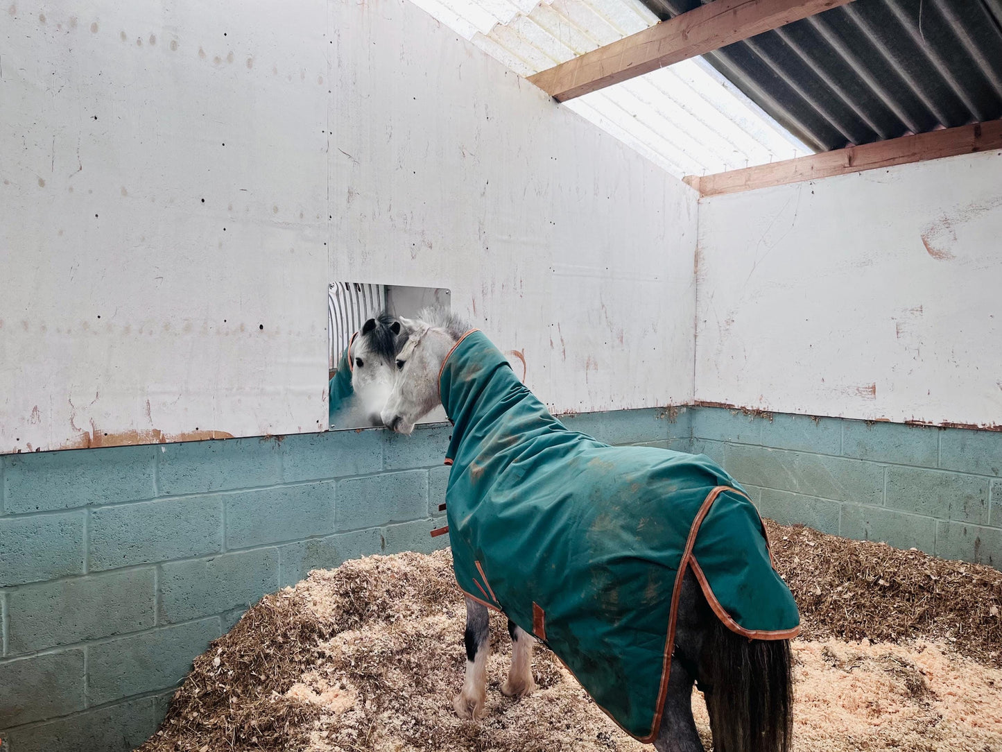 Horse Stable Mirror