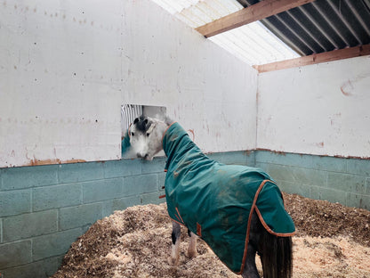 Horse Stable Mirror