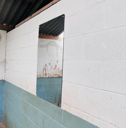 Horse Stable Mirror