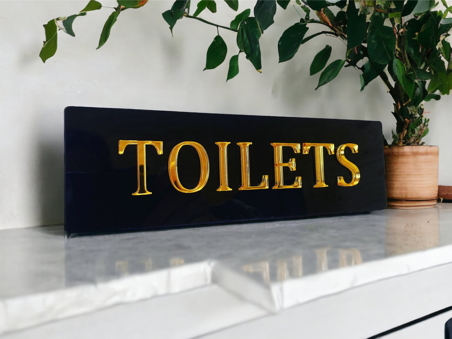 Acrylic Toilet Door Sign