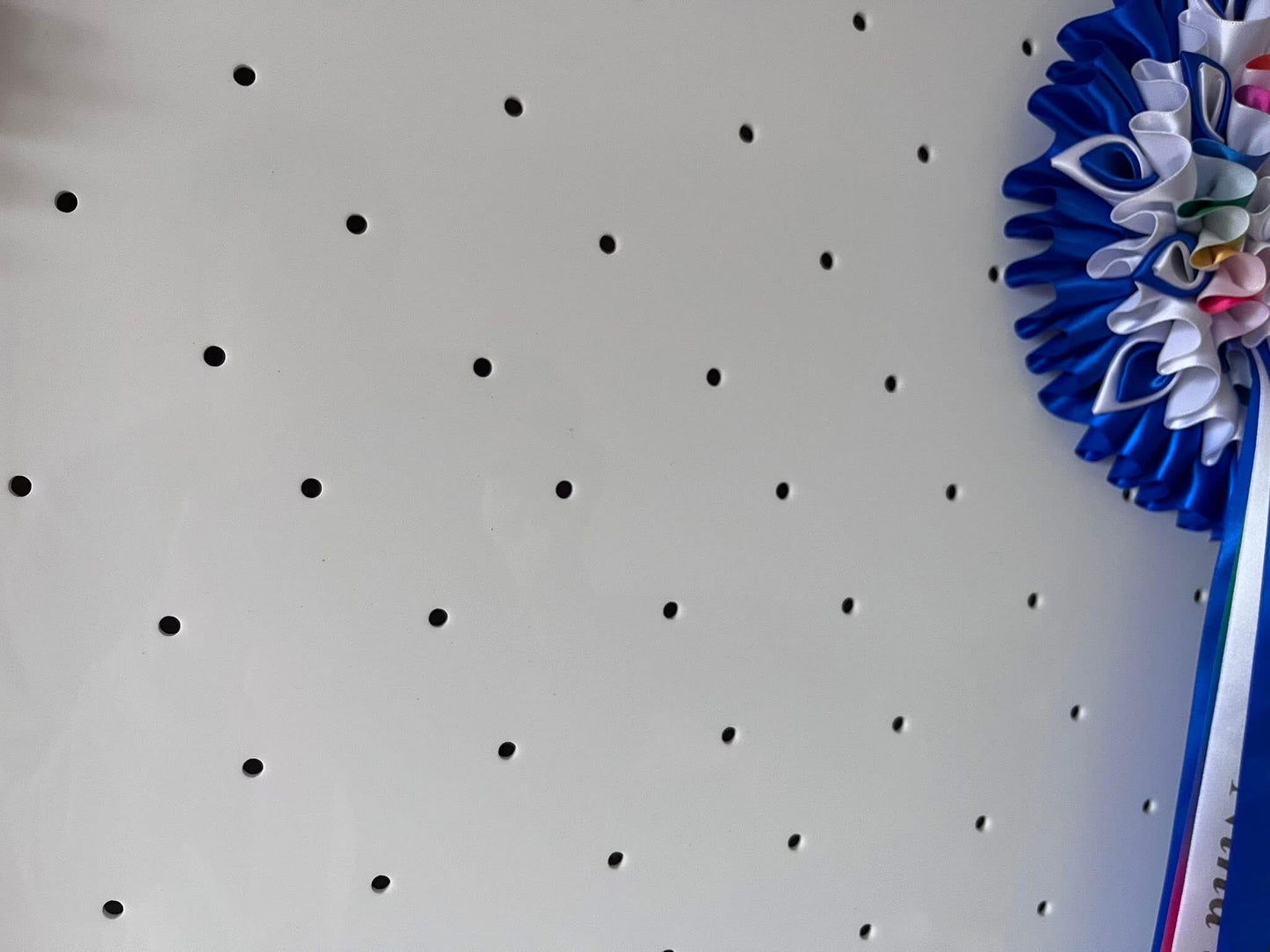 Rosette Display Acrylic Disc 60cm