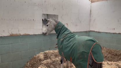 Horse Stable Mirror